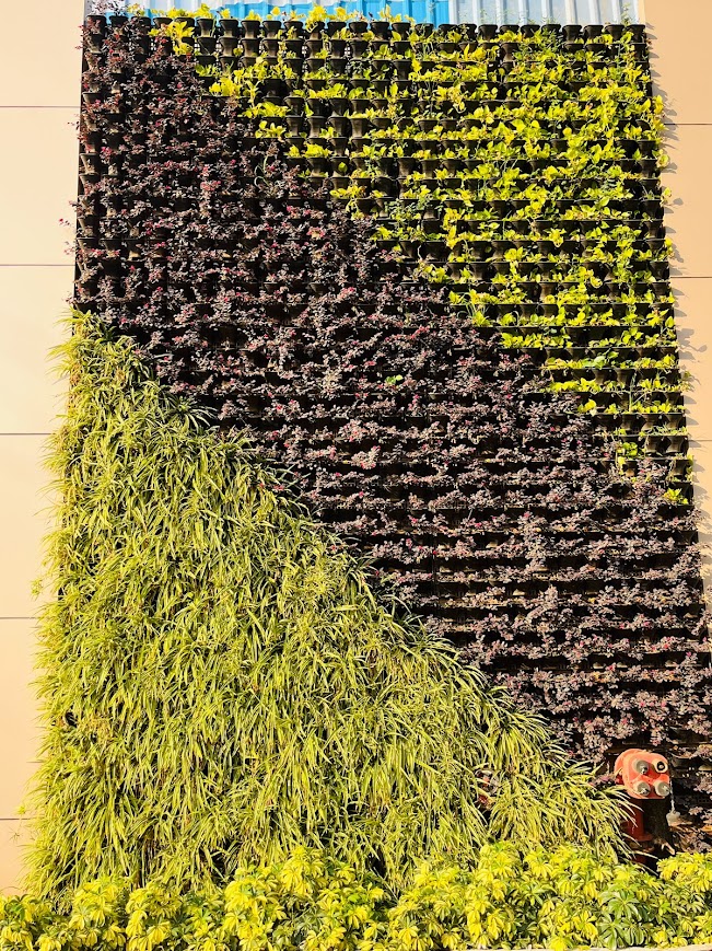 Vertical Garden Project 3